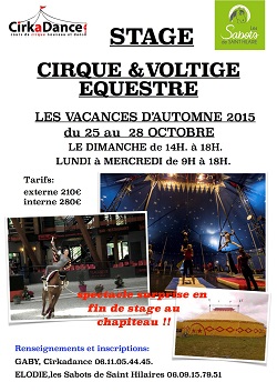 stage cirque-voltige-mini